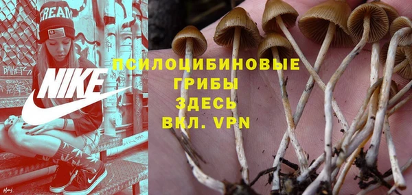 mdpv Магадан