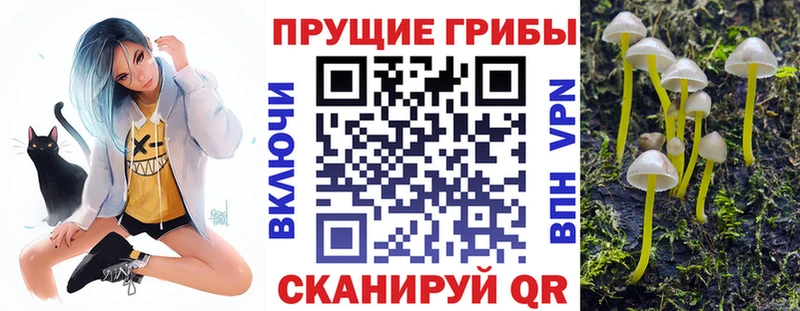 Купить  Шарья  Галлюциногенные грибы прущие грибы 