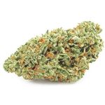 Шишки OG Kush  (Гидропоника, бошки) VHQ в Шарье